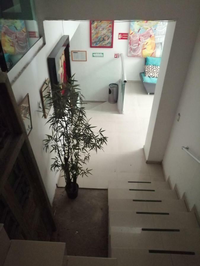 Pule Pule Hostal Boutique 과달라하라 외부 사진
